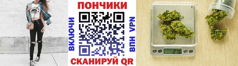Каннабис семена  дарнет шоп  Сокол 